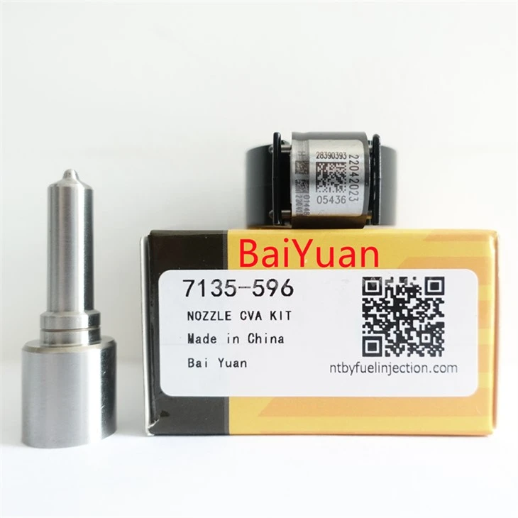 Repair Kit 7135-596 For Delphi Injector